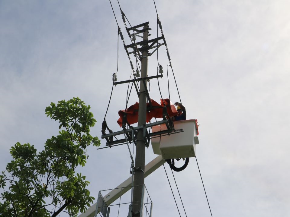 Phát triển công tác thi công lưới điện trung áp đang mang điện (Hotline)